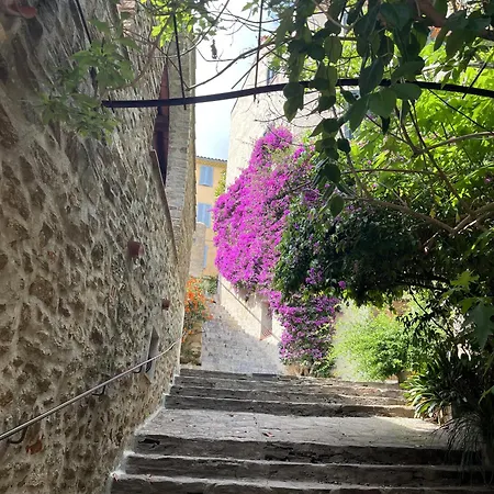 Holiday home La Recampado Bormes-les-Mimosas
