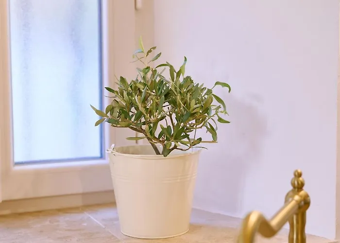 La Recampado * Bormes-les-Mimosas